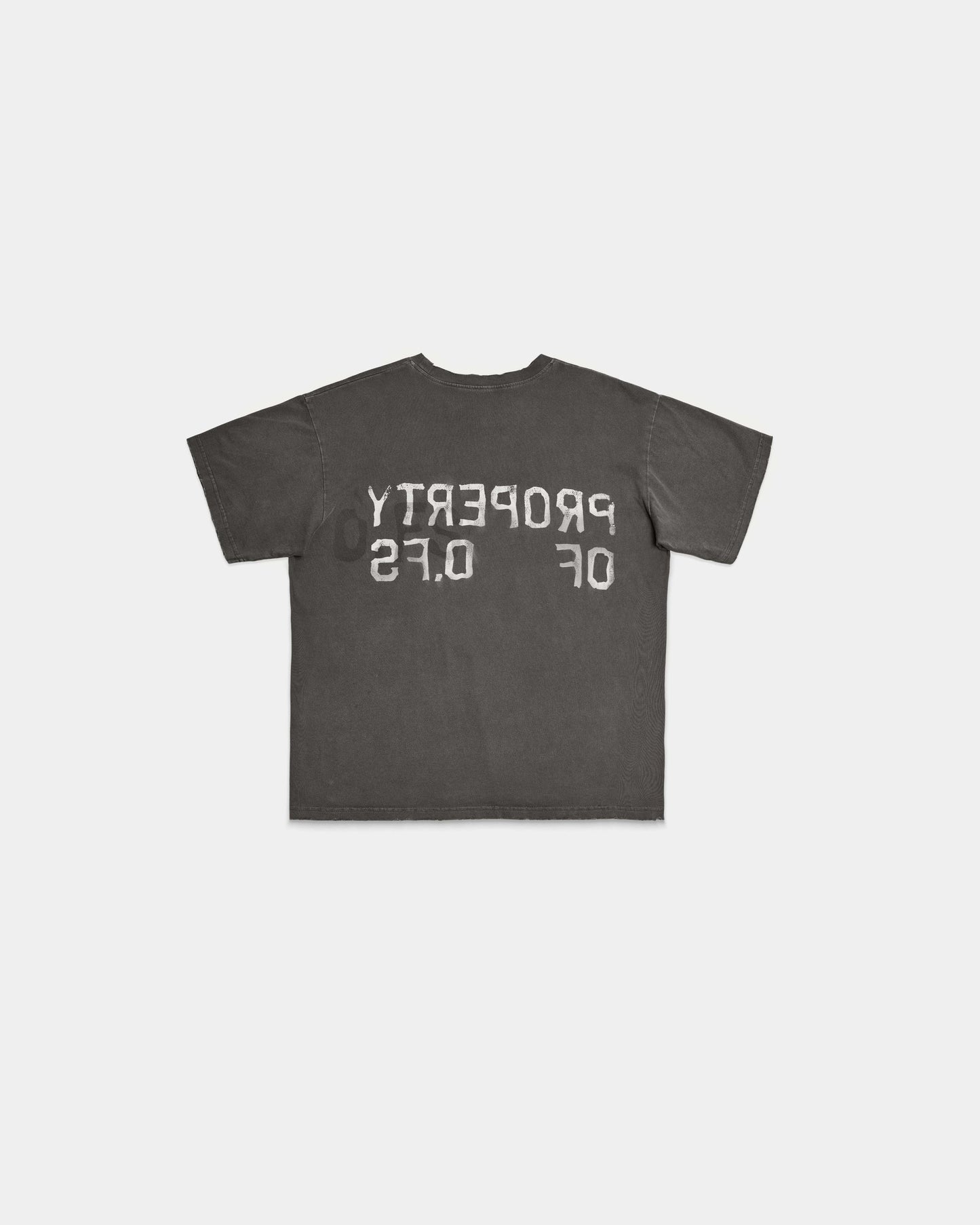 PROPERTY VINTAGE T-SHIRT (DUST BLACK)