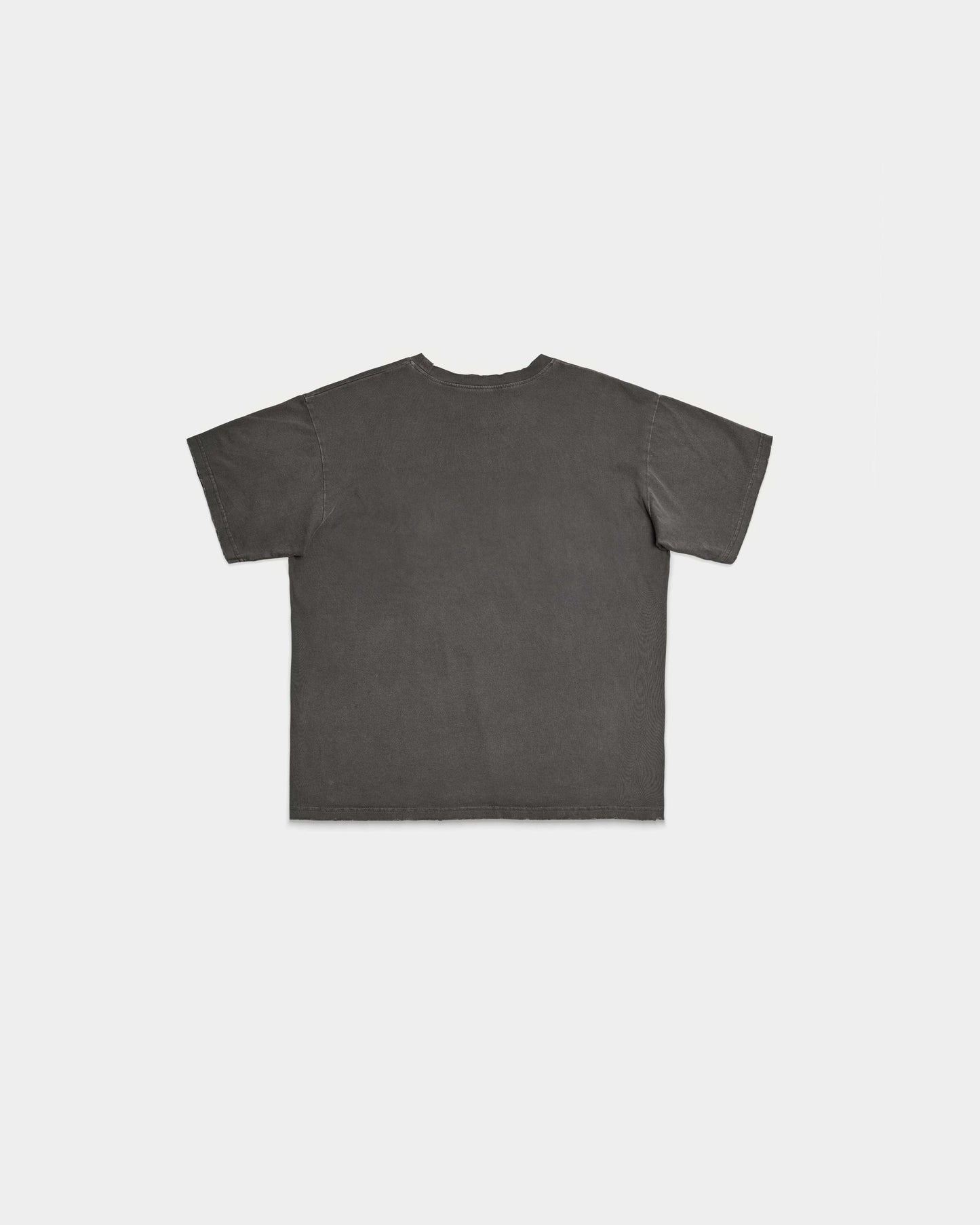 REVERSIBLE VINTAGE T-SHIRT (DUST BLACK)