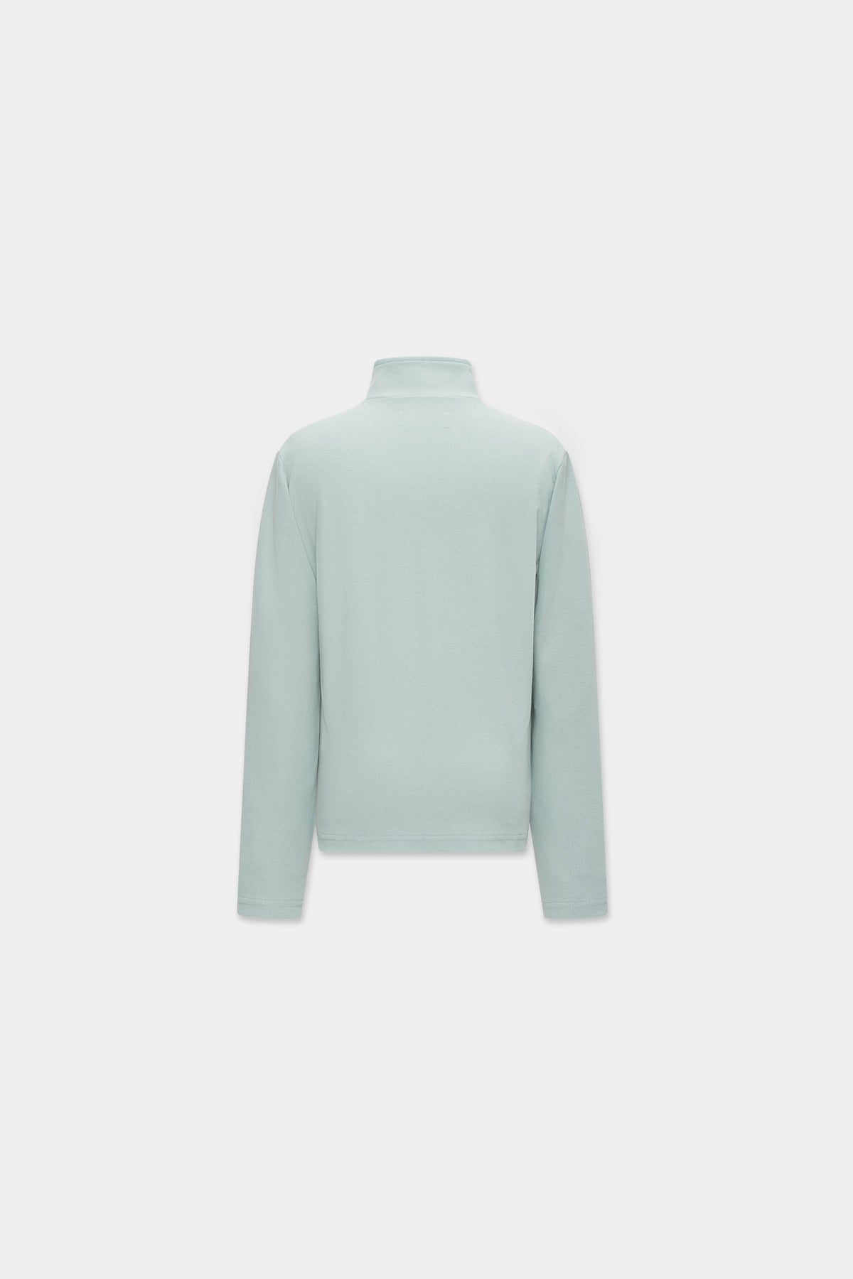 HENLEY LONG SLEEVE in vintage sage